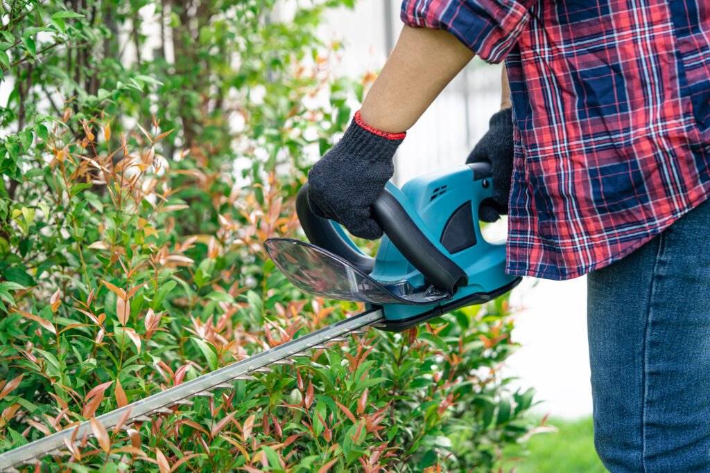 Gardener holding electric hedge trimmer to cut the treetop in ga